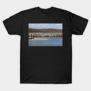 Pelicans on the rock breakwater T-Shirt